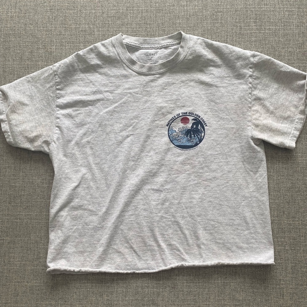 Pacsun cropped tshirt